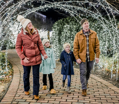 Winter Wonderland Newsflash