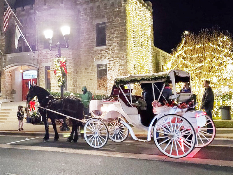 Horse drawn carriage Bel Air Winter Wonderland Event photo
